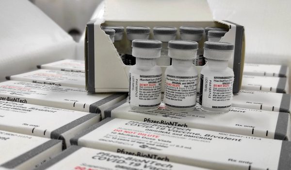 Prefeitura divulga orientações sobre vacina bivalente em Palmeira
