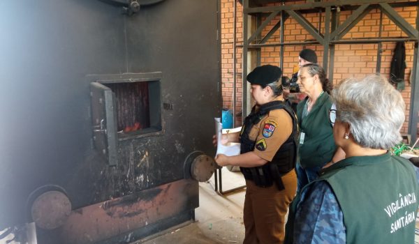Polícia Militar de Palmeira realizou incineração de substâncias entorpecentes