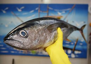 Secretaria de Saúde orienta sobre cuidados ao escolher o pescado neste período de maior consumo