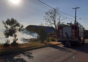 Prefeitura alerta para casos de queimada ambiental em Palmeira