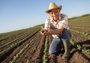 Presidente do STRP parabeniza os agricultores pelo Dia do Trabalhador Rural