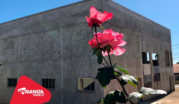 Papiros celebra Festa em Louvor a Santa Rita de Cássia no domingo (21)