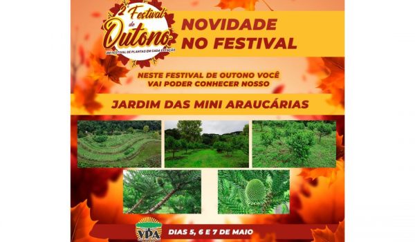 Festival de Outono do VPA tem início na sexta-feira (05)