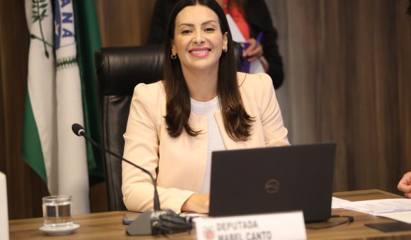 Líder da Bancada Feminina destaca trabalho das deputadas na Alep