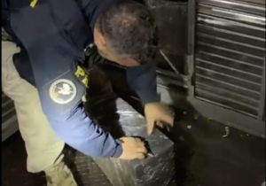PRF descobre 2 toneladas de maconha em fundo falso de caminhão  na BR 277, em Campo Largo
