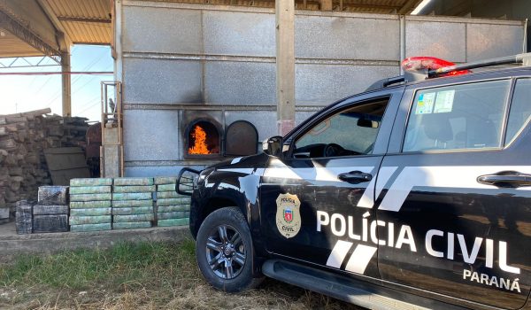 Polícia Civil de Palmeira realizou incineração de 500 quilos de drogas