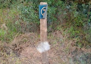 Placas de sinalização turística recém-instaladas em Vieiras são vandalizadas