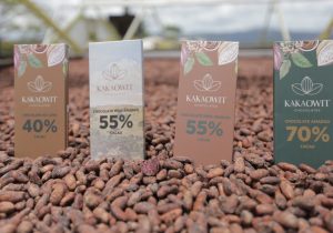 Kakaowit: A primeira chocolateria a produzir do grão à barra, nos Campos Gerais
