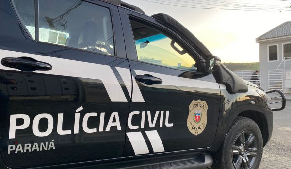 Polícia Civil de Palmeira apreende adolescente infrator, autor de diversos atos infracionais análogos ao delito de furto