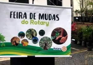 Rotary Club de Palmeira promove Feira de Mudas sexta-feira (22)