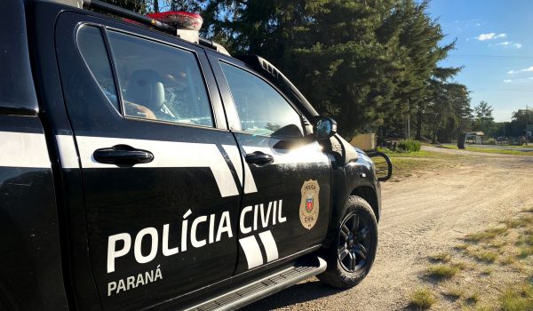 Polícia Civil de Palmeira realiza prisão por descumprimento de medida protetiva de urgência na segunda-feira (18)