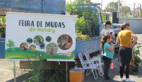 Presidente do Rotary Club de Palmeira faz balanço de mais uma edição da Feira de Mudas