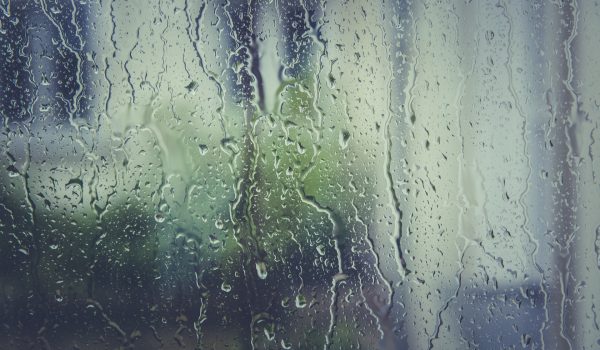Confira as precipitações registradas por moradores de Palmeira