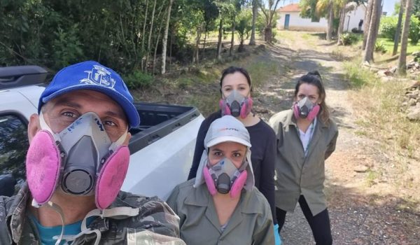 Equipes de saúde do Paraná instalam armadilhas para monitorar possivel infecção por ratos silvestres