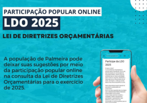 Participação popular online da LDO 2025 já está disponível