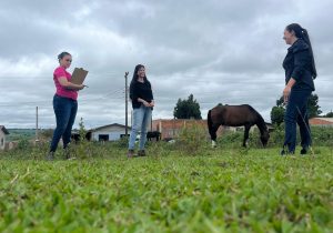 Em entrevista a Ipiranga FM profissionais explicam sobre cadastro de equinos e chipagem