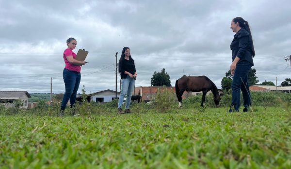 Em entrevista a Ipiranga FM profissionais explicam sobre cadastro de equinos e chipagem