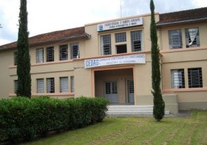 CEDAG completa 77 anos de história e dedicação à educação em Palmeira