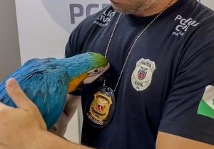 Polícia Civil do Paraná reforça denúncias de crueldade animal durante campanha de prevenção