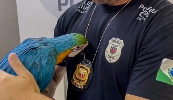 Polícia Civil do Paraná reforça denúncias de crueldade animal durante campanha de prevenção