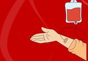 Mutirão de doação de sangue acontecerá no dia 25 de maio em Palmeira
