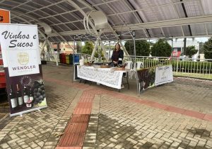 Vinícola Wendler promove feira neste sábado (29)