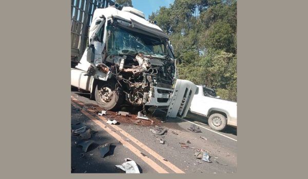 Colisão entre três veículos em Palmeira mobiliza equipes de socorro