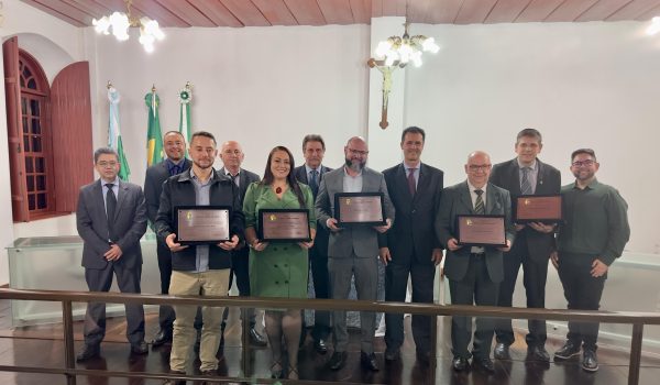 Palmeirenses recebem títulos de cidadania benemérita e honorária na Câmara Municipal de Palmeira