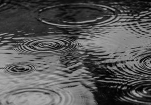 Chuva de Junho se concentrou em apenas dois dias e chegou a 80 mm no centro de Palmeira