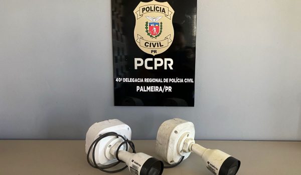 Polícia Civil de Palmeira identifica autor de furto e recupera objetos nesta sexta-feira (05)