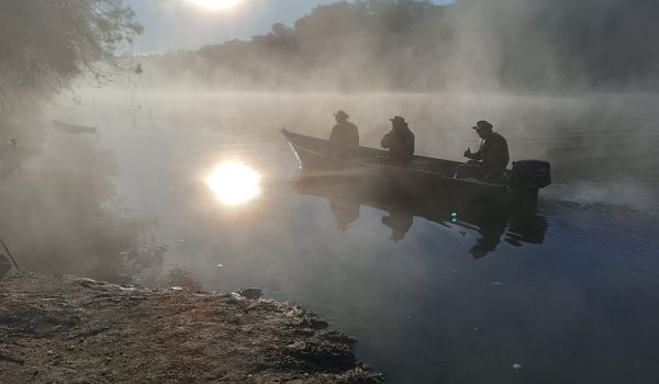 Força Verde investiga morte de peixes no Rio Iguaçu