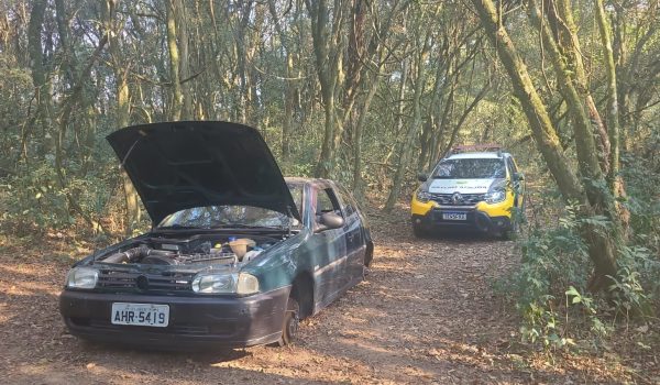 Gol furtado em Palmeira e outros dois veículos são localizados em área de mata em Ponta Grossa