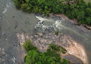 Peixes mortos no Rio Iguaçu: Polícia Ambiental investiga o caso em Porto Amazonas