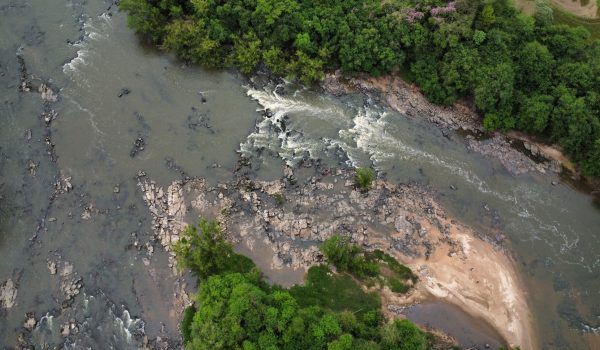 Peixes mortos no Rio Iguaçu: Polícia Ambiental investiga o caso em Porto Amazonas