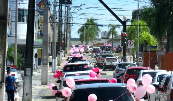 Grupo Gratos promove mais uma edição da Carreata Rosa neste mês