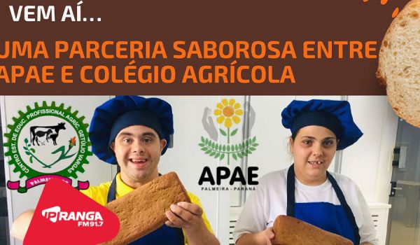 Parceria entre Colégio Agrícola e Apae de Palmeira oferece broa natural com sabor de solidariedade na Feira Verde