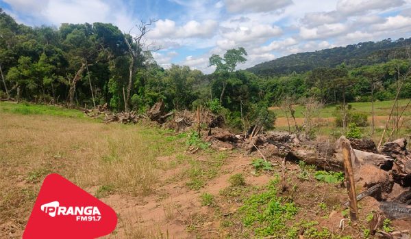 Polícia Ambiental constata crime contra a flora em São João do Triunfo