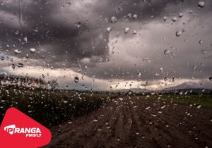 Chuva antecipa previsão e fim de semana registra bons volumes em Palmeira