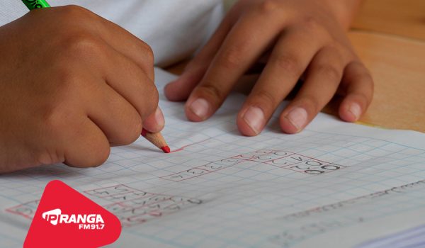 Começam hoje (04) as matrículas e rematrículas para o ensino obrigatório em Palmeira