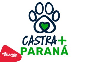 Castra+Paraná realiza castrações gratuitas de cães e gatos em Palmeira