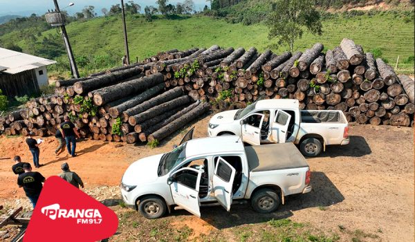 Multa por crimes ambientais cresce 24% no Paraná entre janeiro e novembro de 2024