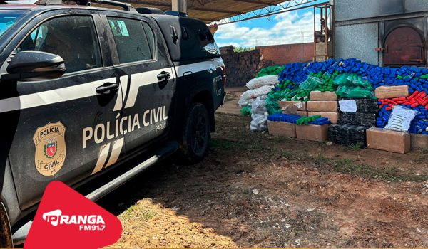 Polícia Civil de Palmeira realiza incineração de 532 quilos de drogas