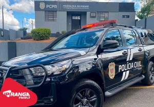 Polícia Civil de Palmeira prende autor de furtos em residências e comércios no município