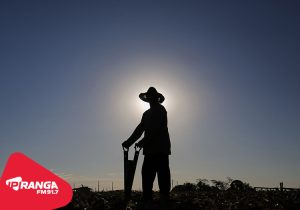 Adesão obrigatória da nota fiscal eletrônica do produtor rural é prorrogada para julho