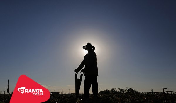 Adesão obrigatória da nota fiscal eletrônica do produtor rural é prorrogada para julho