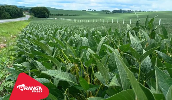 Via Araucária orienta sobre estabelecimentos e plantações dentro da faixa de domínio das rodovias