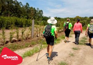 Palmeira Recebe 5ª Edição da Caminhada na Natureza – Circuito Correias no dia 15 de junho
