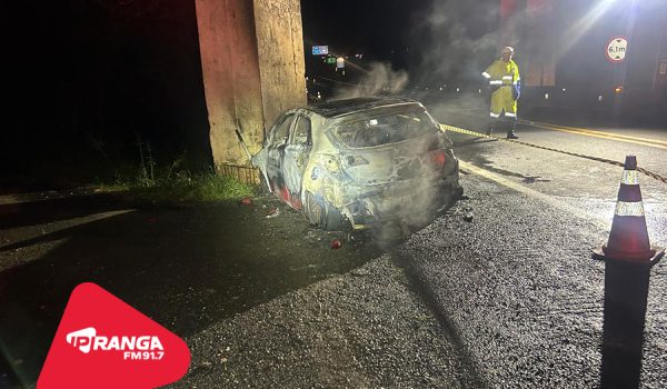 Motorista morre após colisão e incêndio na BR-277