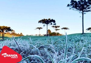 IDR-Paraná e Simepar iniciam serviço Alerta Geada na segunda-feira