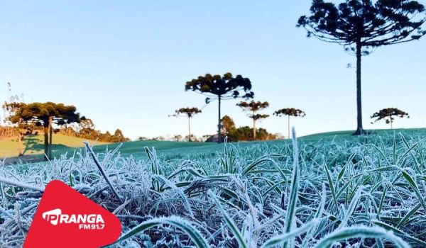 IDR-Paraná e Simepar iniciam serviço Alerta Geada na segunda-feira